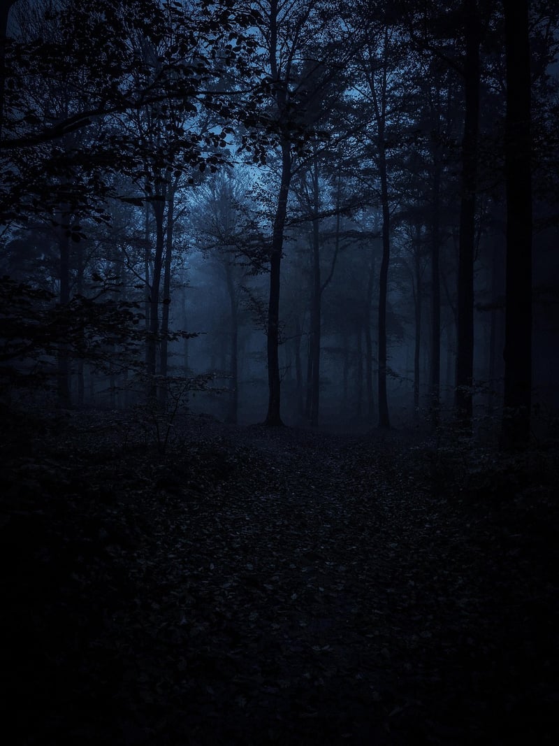 Explore the Unknown